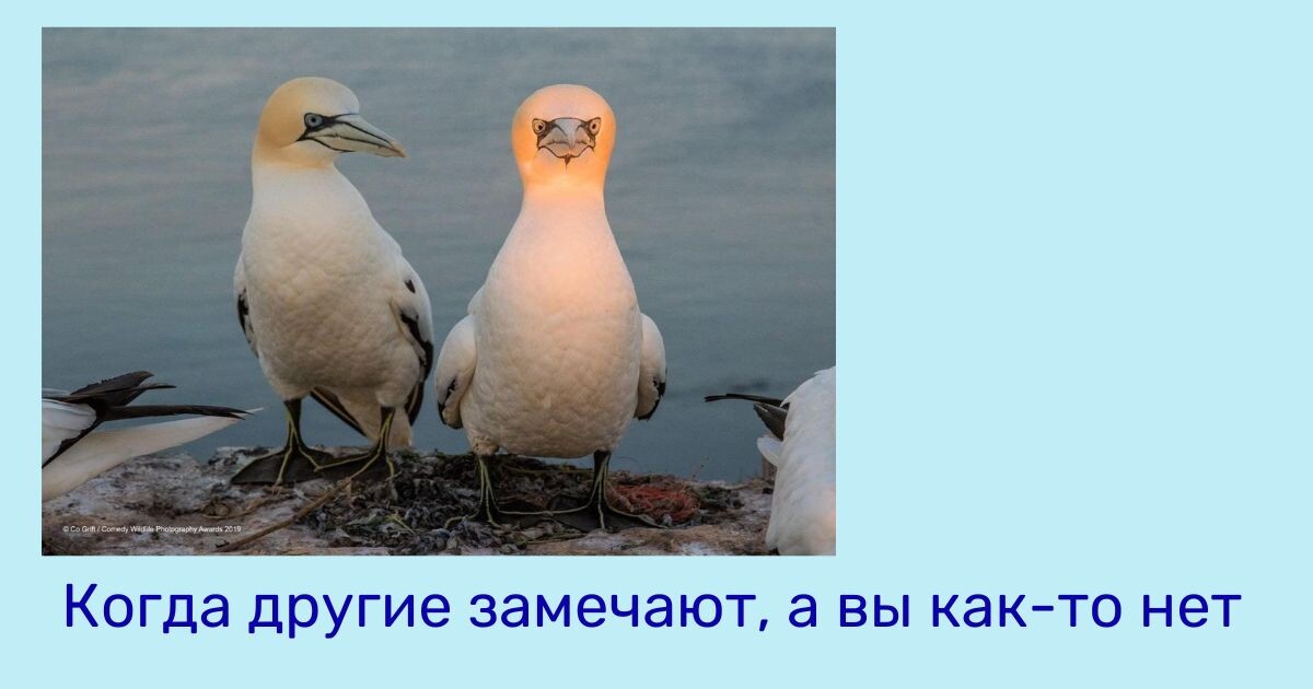 <p>
Как выглядит подавление эмоций </p> <p>
Как выглядит подавление эмоций </p>