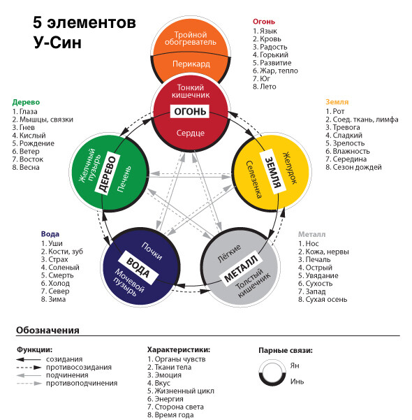 <p>Система У-Син и работа внутренних органов</p> <p>Система У-Син и работа внутренних органов</p>