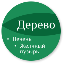 Стихия дерево Стихия дерево