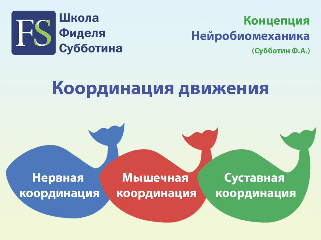 Координация движения Координация движения