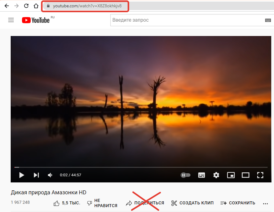 Ссылка на видео из Youtube