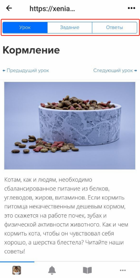 Вкладка «Урок» в неоптимизированном уроке Вкладка «Урок» в неоптимизированном уроке