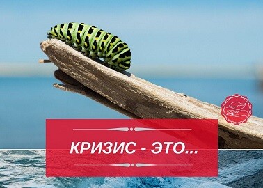 <p><br></p> <p><br></p>