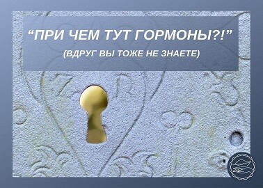 <p><br></p> <p><br></p>