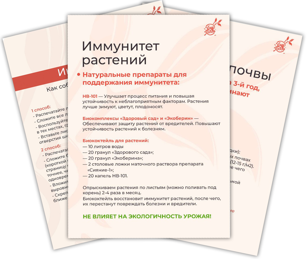 Пример дополнительных материалов мастер-класса Пример дополнительных материалов мастер-класса