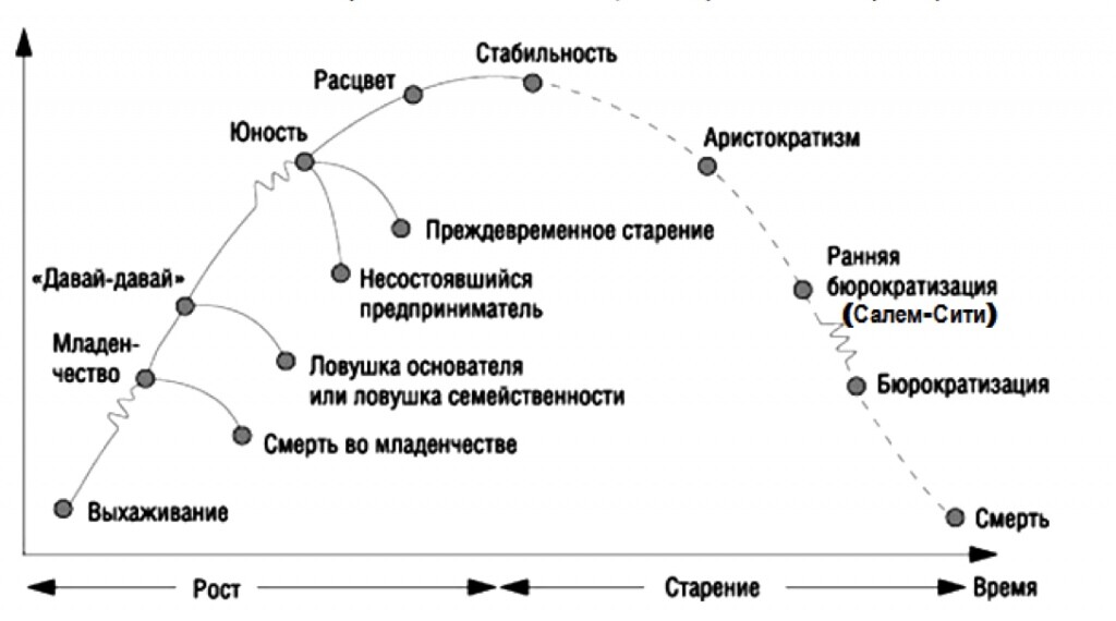 Жизненный цикл компании Жизненный цикл компании