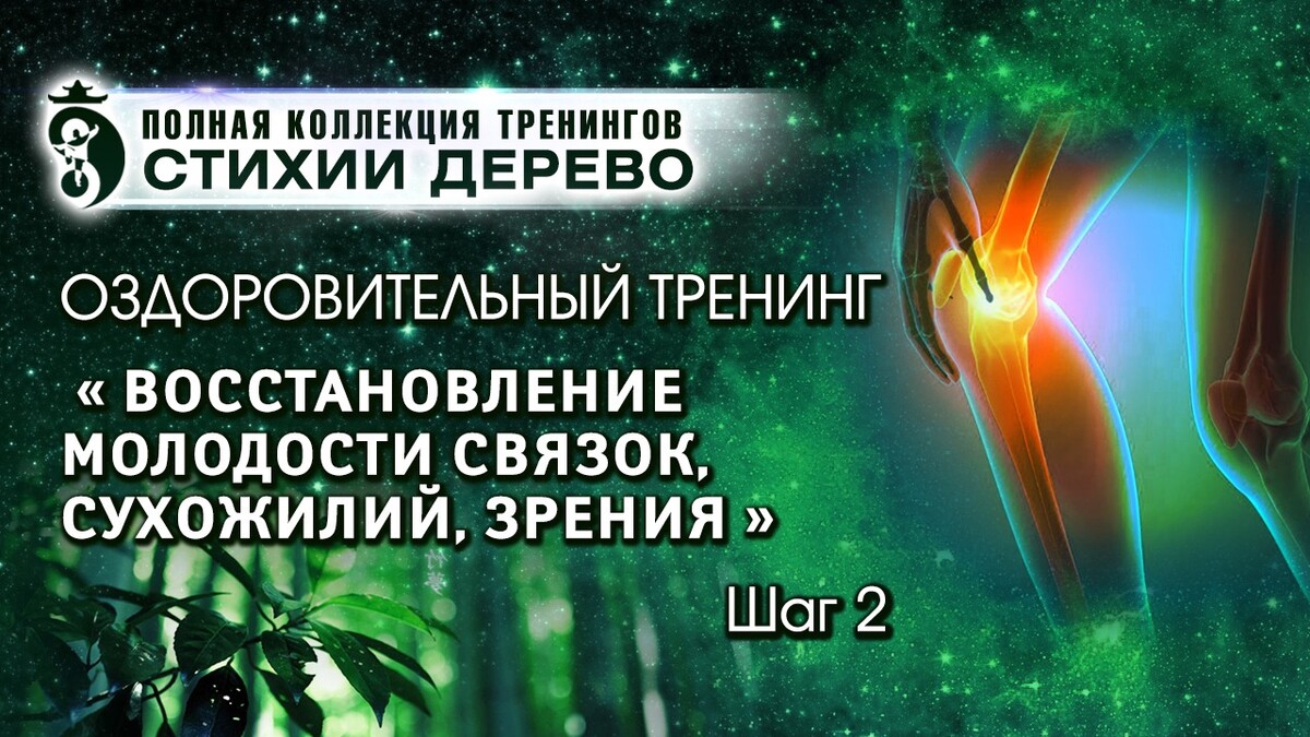 18 форм тайцзи цигун 18 форм тайцзи цигун