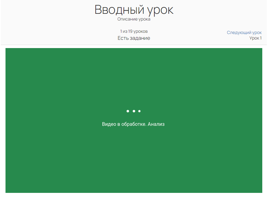 Статус «Видео в обработке. Анализ»