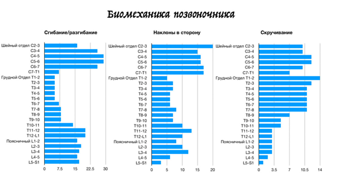 Таблица биомеханики позвонков Таблица биомеханики позвонков
