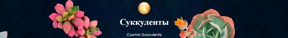 <p> cosmicsucculents.ru </p>
<p> cosmicsucculents.ru </p>
