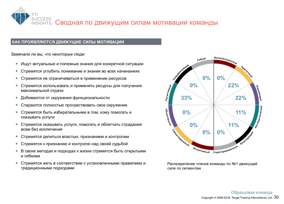 <p>
		Сводная по Движущим силам мотивации команды</p>