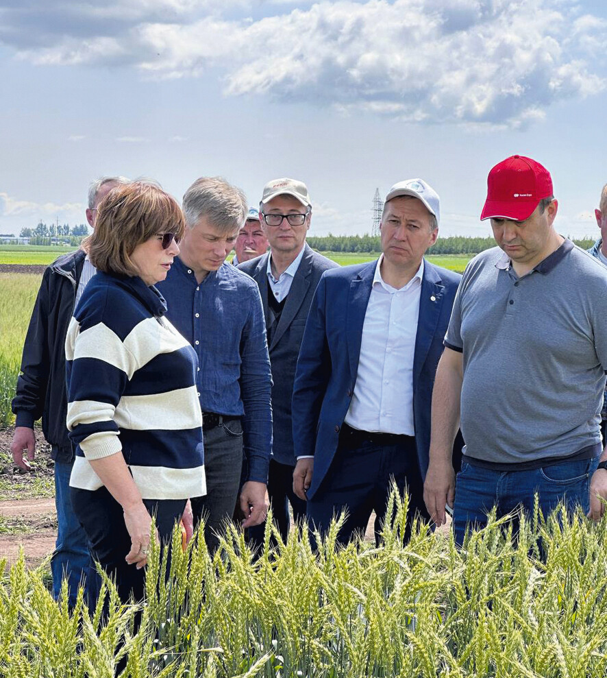 <p>
<strong>Осмотр полевых делянок представителями Министерства сельского хозяйства и продовольствия РФ и РТ</strong> </p>
<p>
<strong>Осмотр полевых делянок представителями Министерства сельского хозяйства и продовольствия РФ и РТ</strong> </p>