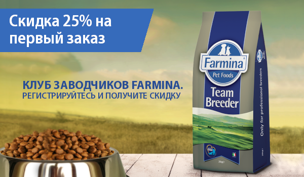 <p>Скидка для студентов только</p> <p>Скидка для студентов только</p>