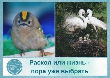 <p><br></p> <p><br></p>