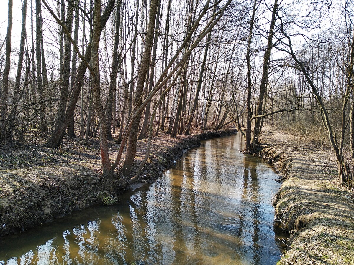 <p>Весна</p> <p>Весна</p>