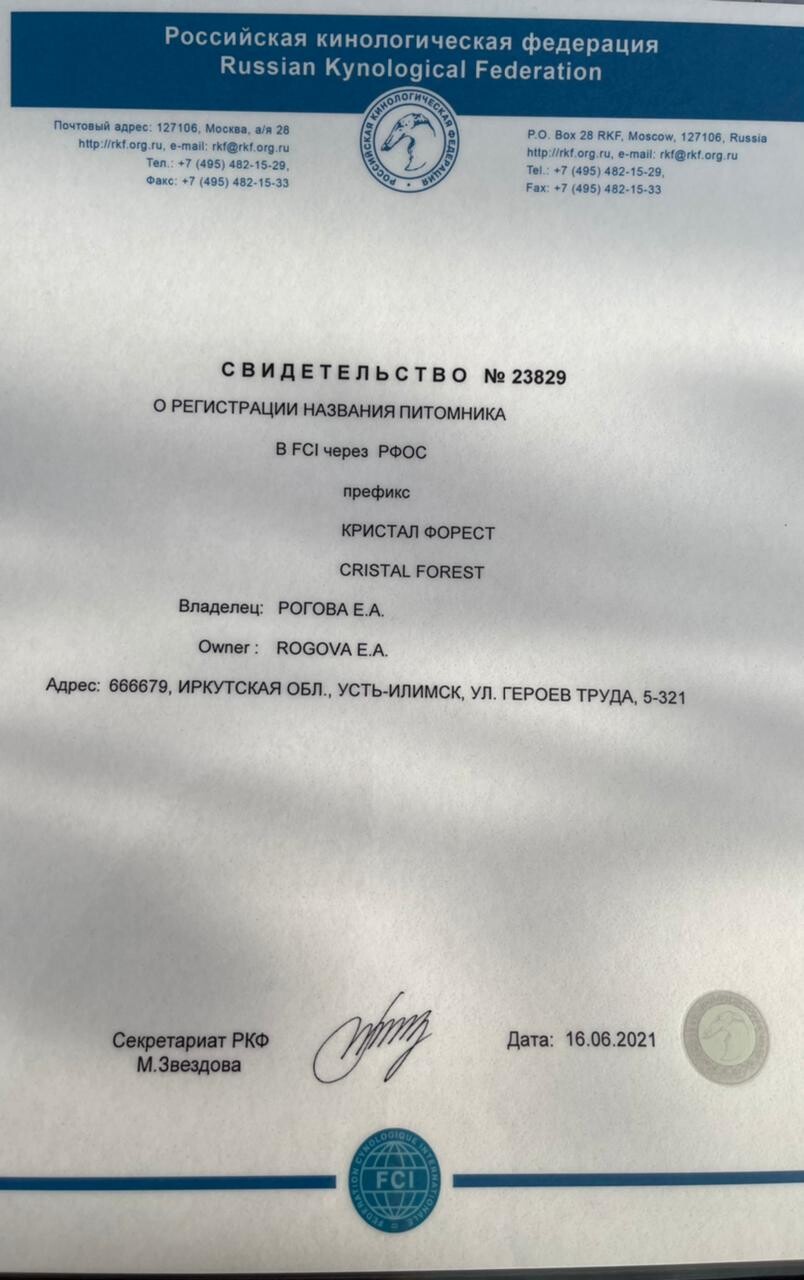 <p>Свидетельство о регистрации №23829</p> <p>Свидетельство о регистрации №23829</p>