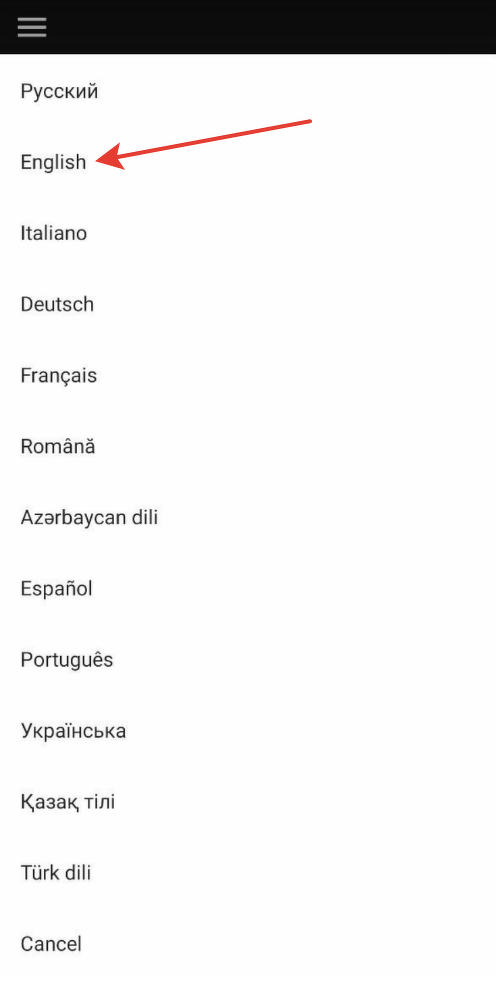 Выбор языка Выбор языка