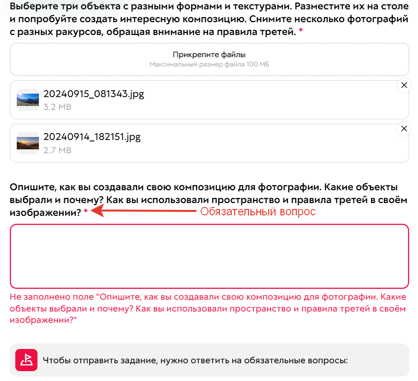 <p>Без ответа на обязательный вопрос отправить задание нельзя</p>
<p>Без ответа на обязательный вопрос отправить задание нельзя</p>