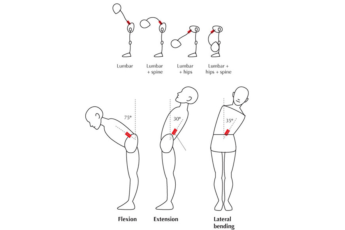 Движения в поясничном отделе позвоночника