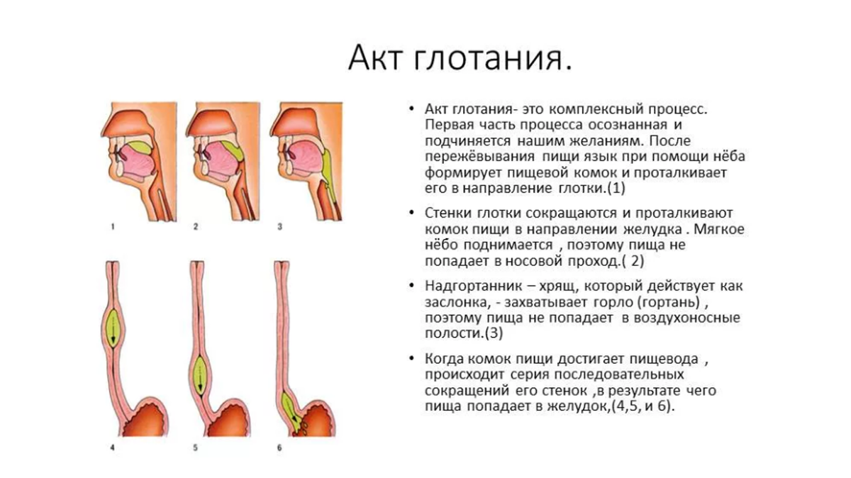 Нарушение глотания жевания