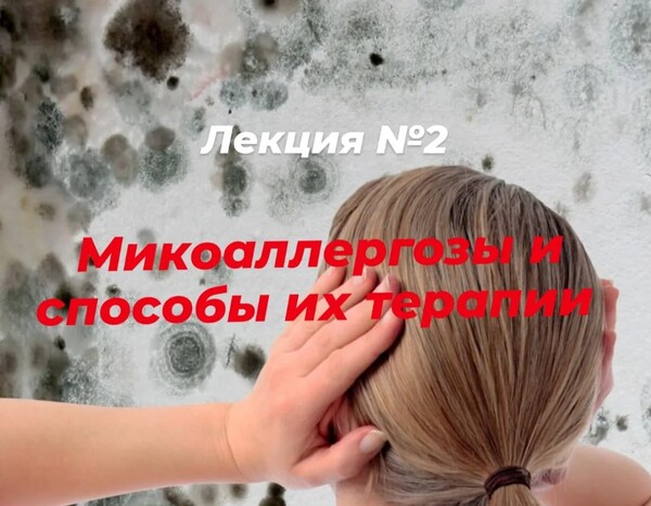 schooldetoxkafa.ru