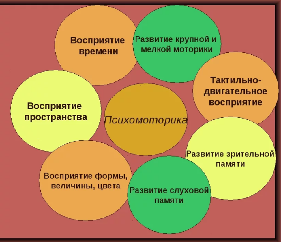 Психомоторика: оценка, причины задержки и методы коррекции развития. Блог  Лого Портал