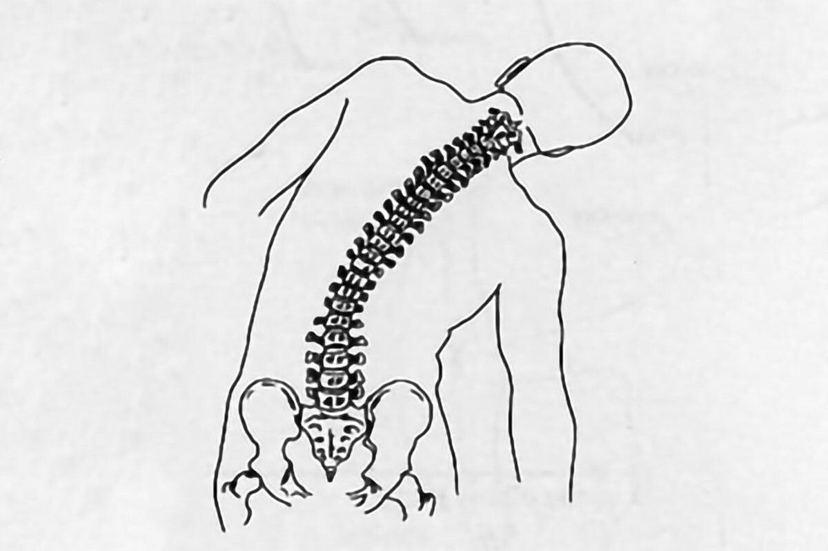Движение позвоночного столба