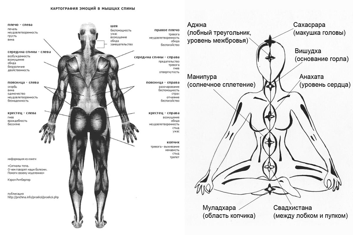 Эмоциональная карта тела