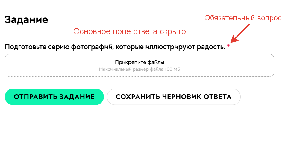 
		<p>Отображение поля с дополнительными опциями</p>	