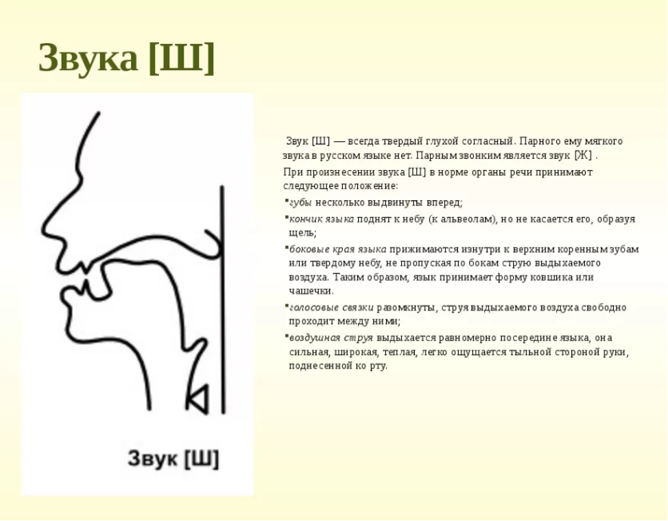 Артикуляция звука ш в картинках для детей