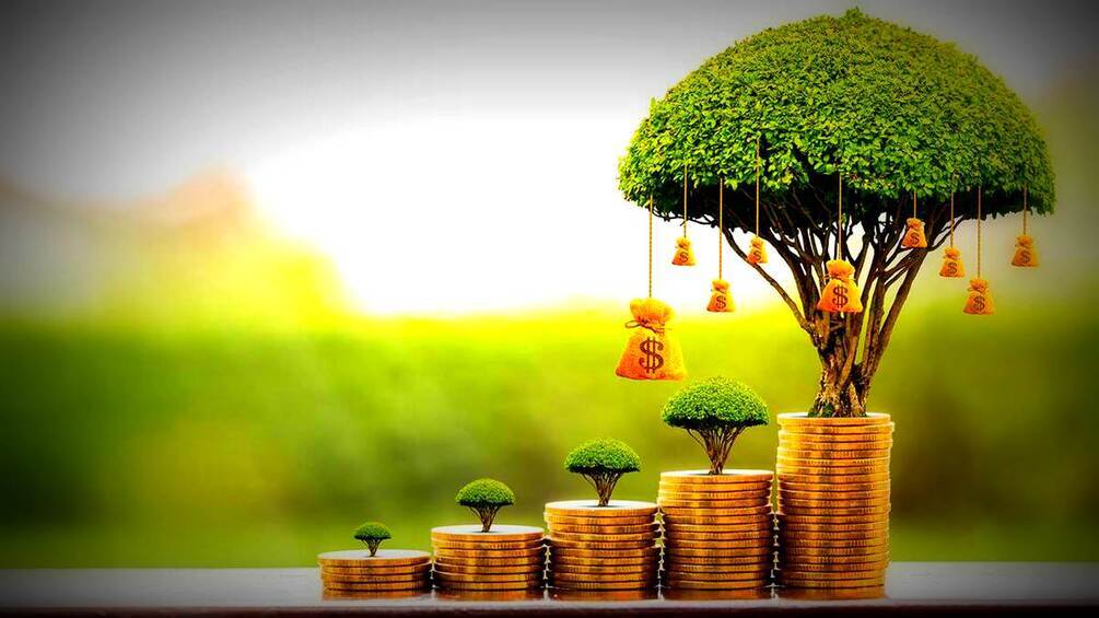 <p>Психология финансового благополучия с натуральными ароматами эфирных масел.</p>