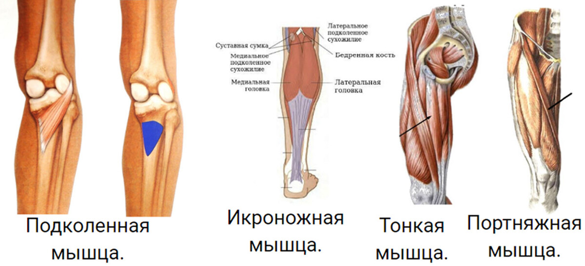 Особенности биомеханики в шейном отделе позвоночника и их роль в развитии болевых синдромов