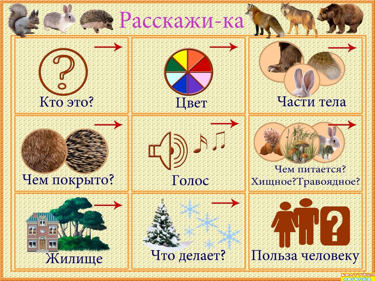 Схема описание животного для детского сада