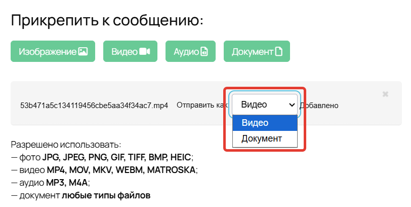 Возможность выбрать, как будет отправлен файл