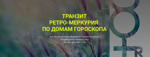 online.volokontsev.school