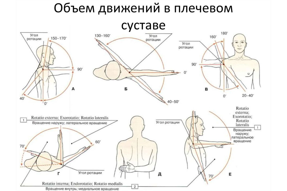 Объем движений в плечевом суставе