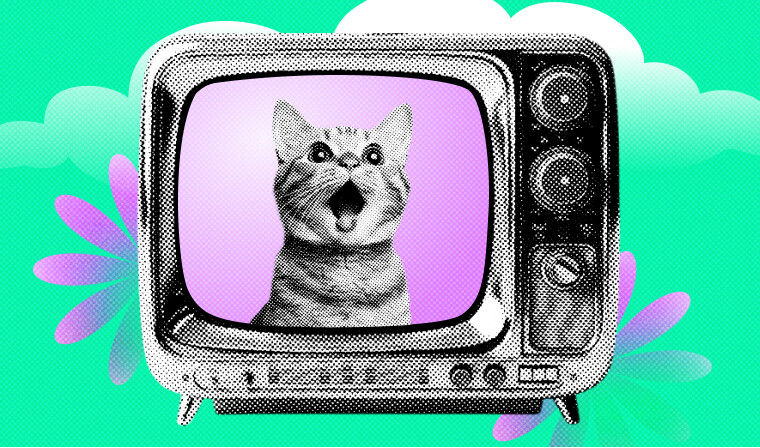 Огромный гайд от команды маркетинга GetCourse