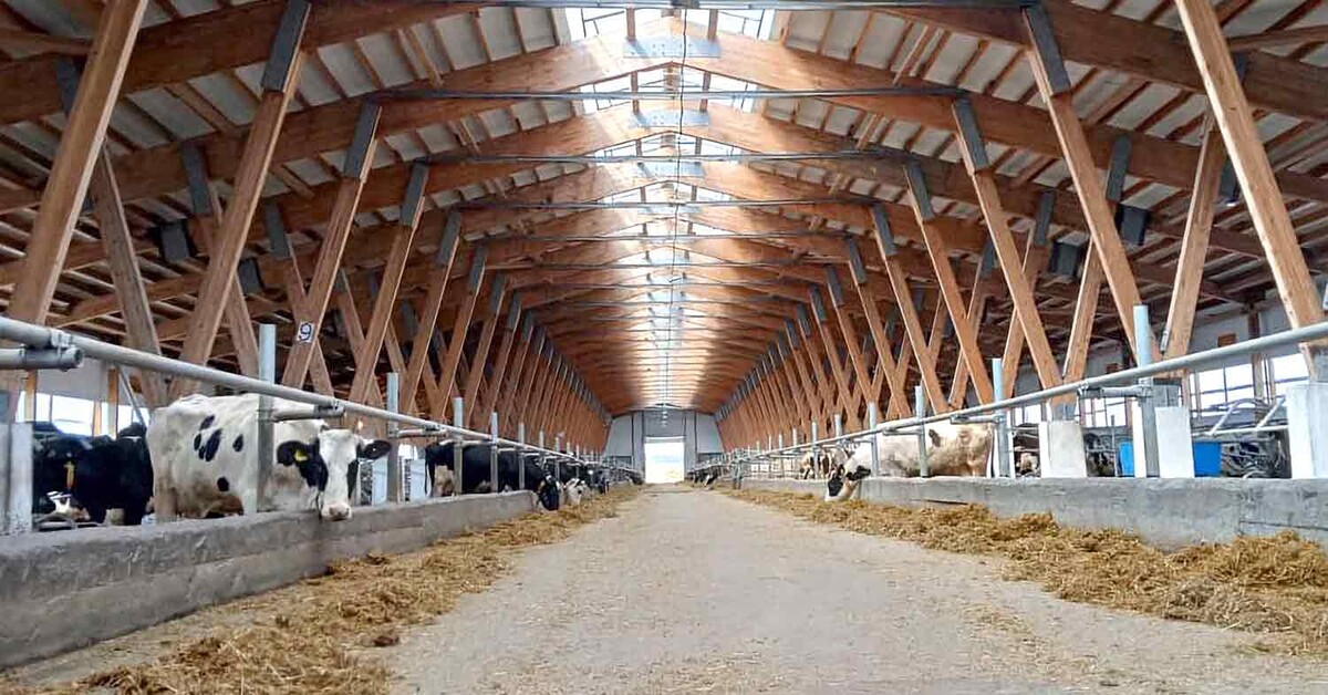 В ООО СХП «Михайловское» перепробовали множество энергетических добавок, но остановились на «Тирзана BSK»