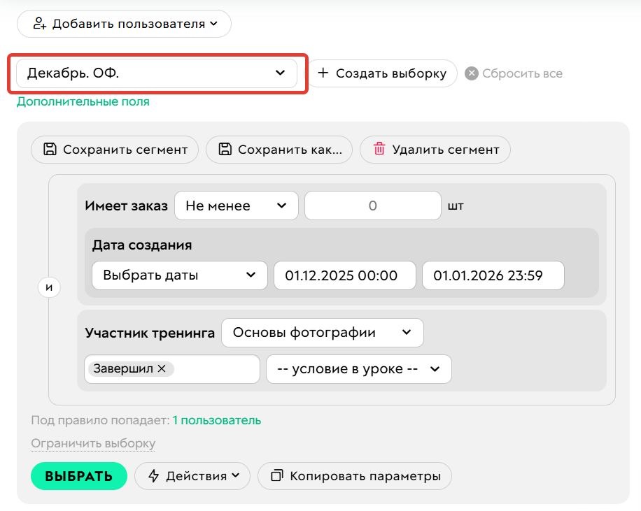 		<p>Выбранный сегмент</p>	