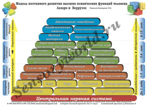 Пирамида развития
