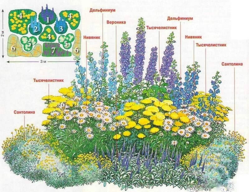 Клумба из многолетних цветов на солнце и в полутени