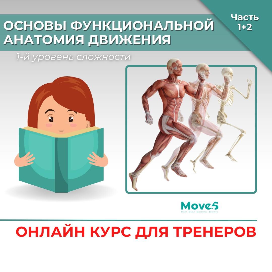 Основы анатомии тест. Анатомия движения. Анатомия функциональных тренировок. Анатомия движения человеческое тело. Функциональная анатомия обучение.