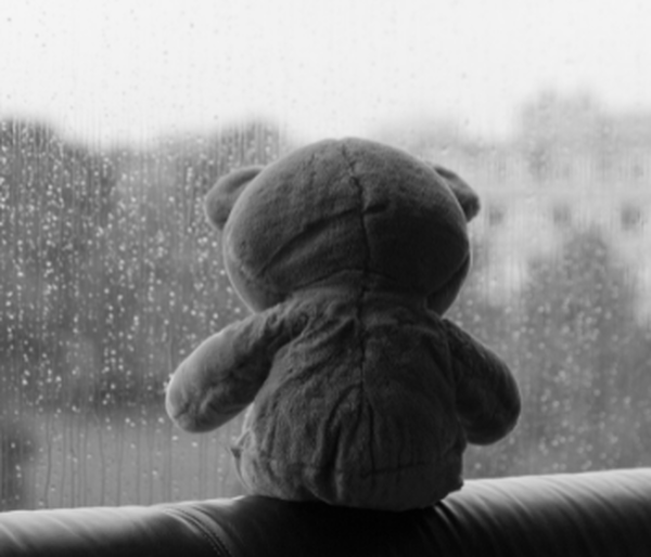 курсы караваева