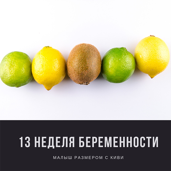 13 неделя беременности