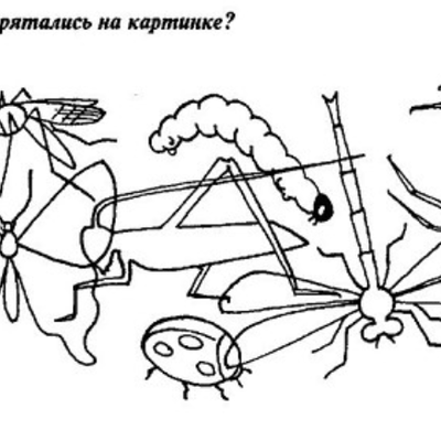 Наложенные картинки насекомые