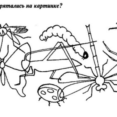 Кто спрятался на картинке насекомые