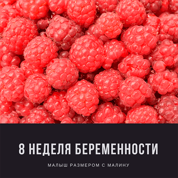 				<p>8 неделя беременности</p>		