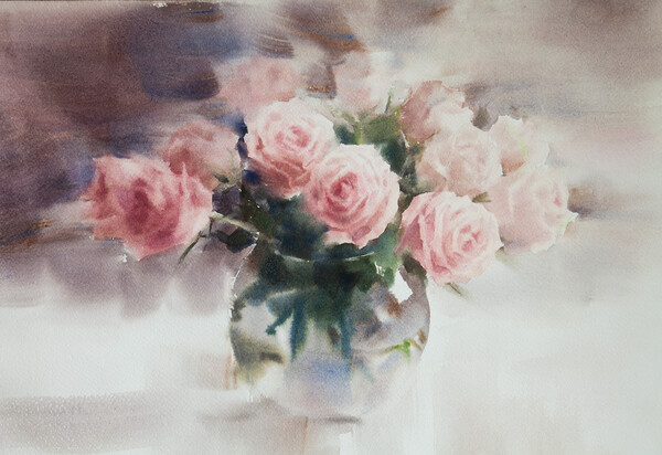 Роза 'Акварель' / Rose 'Aquarell'