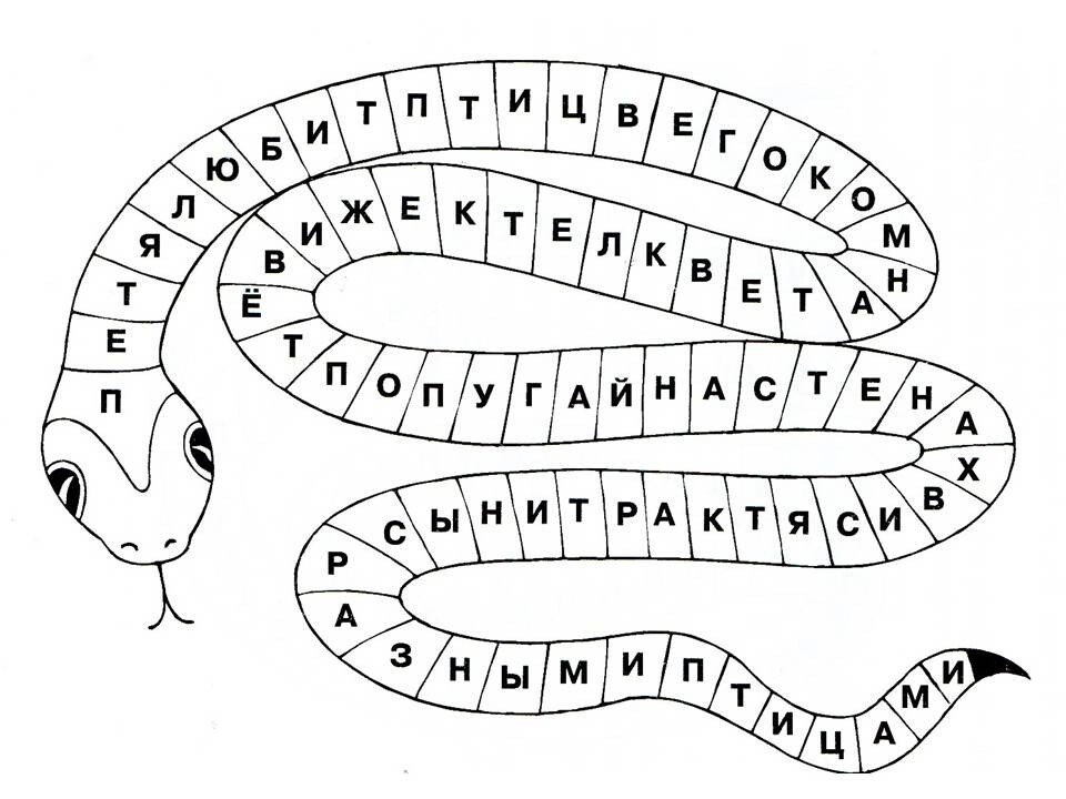 Напиши цепочку из 10 слов рисунок книга