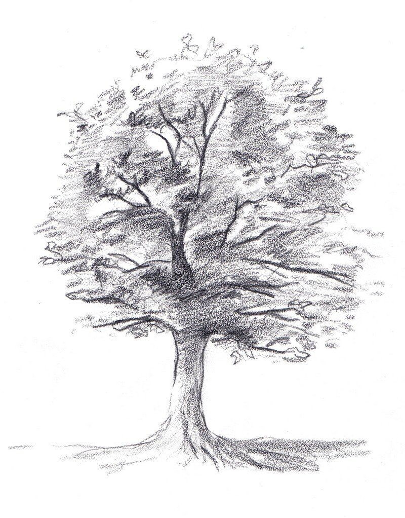 Как нарисовать дерево. 30 идей и пошаговых мк с фото